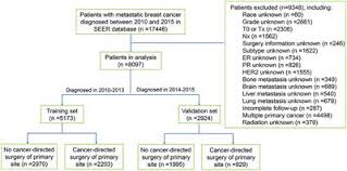Yellowing of the skin and whites of the eyes, called jaundice. Metastatic Breast Cancer List Of Frontiers Open Access Articles