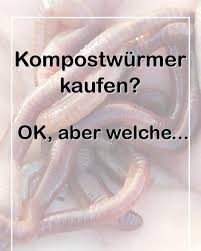 Welche Kompostwurmer Soll Man Kaufen Blog Beitrag Www Wurmpower At Kompostwurmer Kompostwurmer Kaufen Eiseniafetida Eiseniaandrei Wurmer In 2020 Food Desserts