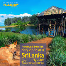 Srilanka Holiday Package For 2 363 Aed From Dubai Riyadh Incl Flights Hotel Transfers Tour Representative Bo Tour Packages Travel Deals Tour Operator