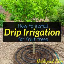 There are many types of irrigation systems on the market that are suitable for vegetable production. How To Install Drip Irrigation For Fruit Trees Backyard Eden
