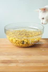 肥丁手工坊網友跪求等了好久的豆瓣醬5 年後再見Homemade ...