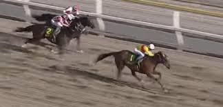 Manage your video collection and share your thoughts. ã‹ã—ã‚è¨˜å¿µ 2018å¹´ åœ°æ–¹ç«¶é¦¬ äº¤æµé‡è³ž éŽåŽ»10å¹´ãƒ‡ãƒ¼ã‚¿åˆ†æž