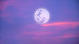 Twitter abg sex came across Phoebe, who opened the door in