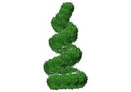 Plantas 3D - Buxo espiral - ACCA software