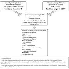 Co Diagnosis Algorithm For Erectile Dysfunction And Lower