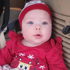 Fundraiser for Amber Lindsey by Heather Sheets : Help Indi's Parents in  Their Time of Loss