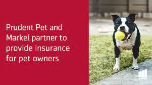 Customers pay a monthly fee for coverage that works with any licensed. Prudent Pet Prudent Pet Twitter