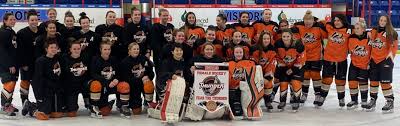 These decorating ideas are really perfect for you to get inspired and choose what suits you to decorate your own home for this happy occasion. Hockey Gives Back Across Alberta December 30 2019