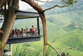 Yang penting kebersihan sungai dan air terjun ini terjaga. Cameron Highlands Tea Field Observatory Mapio Net