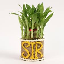 Soda bottle apple teacher gift. Teachers Day Surprise Your Gurus With These Unique Gifts