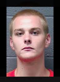 A mom stumbles across a remote murder scene