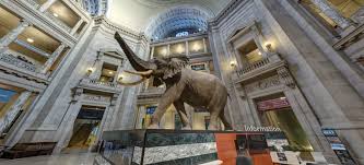 Recorrido Virtual Por El Museo Smithsonian De Historia Natural De Estados Unidos Elige Cultura
