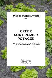 Faire Son Premier Potager Guide Pour Les Debutants Promesse De Fleurs
