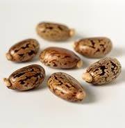 Image result for Ricin