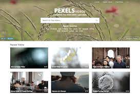 Pixabay is a vibrant community of creatives, sharing copyright free images, videos and music. 29 Places To Find Free Stock Footage For Your Videos Wave Video
