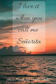 When you call me señorita. I Love It When You Call Me Senorita Shawnmendes Camilacabello Senorita You Call Call Me Shawn Mendes Songs
