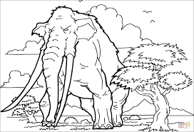 We did not find results for: Woolly Rhino Coloring Pages Rhino Coloring Pages Animal Coloring Books Coloring Pages
