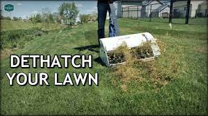If you want a healthy and beautiful lawn, you will want to dethatch anytime your thatch is thicker than.75 inch. When How To Dethatch A Lawn After Care Tips