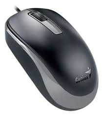 Mouse Usb Genius Black+Gray DX-125S (31010027400)