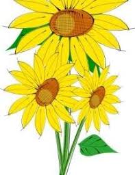 Wallpaper bunga bergerak gif download animasinya disini akuntt com. 53 Gambar Animasi Bergerak Bunga Matahari