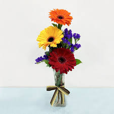 Image result for Gerbera