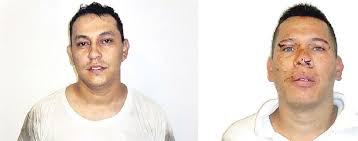 Caen 2 frustrados plagiarios