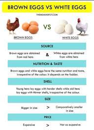 92 to 100 calories in a giant egg with the least amount of added fat or oil. Pin By Irene On Kitchen Tips Eggs Egg Nutrition Facts Egg Nutrition