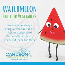 We did not find results for: Carlson Orthodontics Watermelon Fruit Or Vegetable Facebook