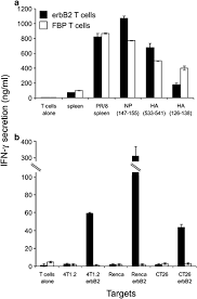 The latest fatalities were both adults in their 40s, the health department said, declining to release further details. Antitumor Activity Of Dual Specific T Cells And Influenza Virus Cancer Gene Therapy