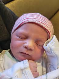 Alex's surrogacy journey