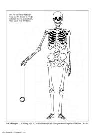 Dogs love to chew on bones, run and fetch balls, and find more time to play! Coloring Page Skeleton Free Printable Coloring Pages Img 3631