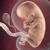 #tembisa10 the story of 10 babies will remain a scam or fake news until those babies are found, if indeed they are 10, the hospital is mentioned, doctor and his team are mentioned. Https Encrypted Tbn0 Gstatic Com Images Q Tbn And9gct9t8ucrdigmmwvuwkv9vidhhy63 Xzhpmbrwtxqsuaegfzpqni Usqp Cau