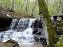 National parks in illinois include national historic trails, national historic sites, and a national monument. Why Doesn T Illinois Have Any National Parks In The State Belleville News Democrat