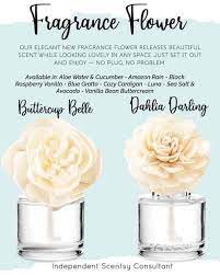 Fragrance Flower New Design Scentsy Fragrance Fragrance Scentsy