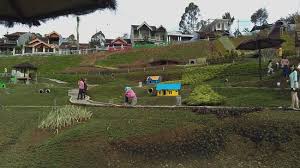Atas nikmat yang telah diberikan untuk semua makhluk di bumi ini. Latar Pemandangan Indah Picture Of Rabbit Park Batu Tripadvisor