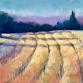 July Artist of the Month: Judy Albright
