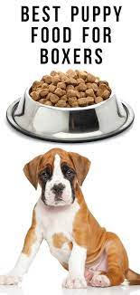 Are you looking for the best dog foods for boxers? Best Puppy Food For Boxers Health And Happiness