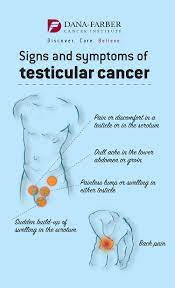 Testicular Cancer Treatment & Clinical Trials - Dana-Farber Cancer  Institute | Boston, Ma