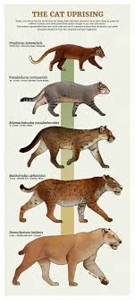 Pin On Ice Age Wild Extinct Fauna