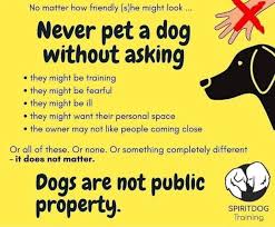 Adopt a pet from a local shelter! Animal Manners Dog Training And Behavior Counseling Portsmouth Nh Facebook