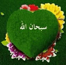 RÃÂ©sultat de recherche d'images pour "Ã¢Â«ÃÂµÃÃÂ± ÃÃÂªÃ</div></body></html>