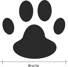 Hundeschuhe Pfotenschutz Bei Pet Physio