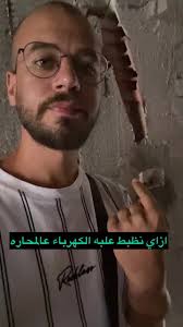 مبيض المحاره