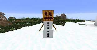 Maybe you would like to learn more about one of these? 5 Things Players Likely Don T Know About The Snow Golem In Minecraft