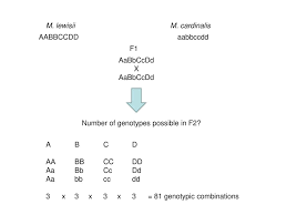 I think this is gonna get messed up when i send it. Iv Variation In Quantitative Traits Ppt Download