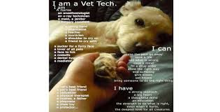 Salary estimates are based on 10 salaries submitted anonymously to glassdoor by certified veterinary assistant employees. Deer Creek Veterinary Clinic Johnson City Texas Home Facebook