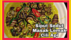 Please like, comment, subscribe and share. Resepi Siput Sedut Masak Lemak Cili Api Mudah Dan Sedap Youtube