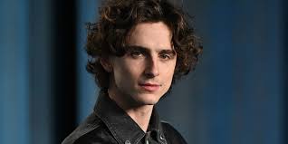 Al Pacino Wants Timotheé Chalamet in 'Heat' Sequel