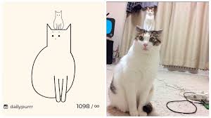 A complete the drawing book, by cate anevski, the conceit is a bit different than than just coloring in the design in pretty colors. Silly Cat Drawings In Daily Basis That Will Brighten Up Your Mood Earth Wonders