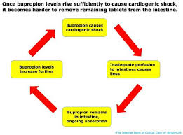 Image result for Bupropion